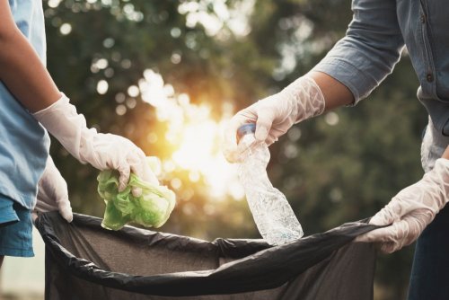 Environmental inspectors have achieved the cleaning of a spontaneous dump