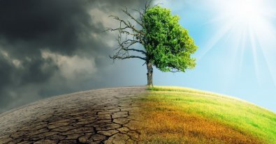 Фото – Країни G20 не дійшли згоди щодо двох кліматичних цілей