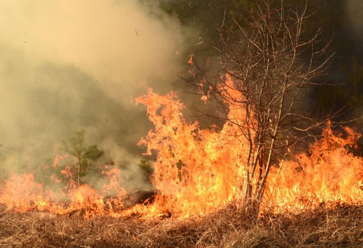 В Україні почався сезон пожеж через спалювання сухої трави й очерету. Відео