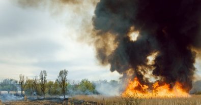 Фото – В Україні почастішали пожежі в екосистемах: надзвичайники назвали причину