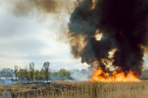 В Украине участились пожары в экосистемах: чрезвычайники назвали причину