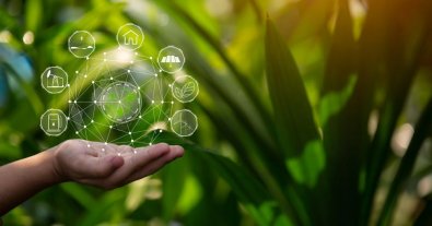 Фото – Порядок денний засідання Комітету з питань екологічної політики на 31 березня