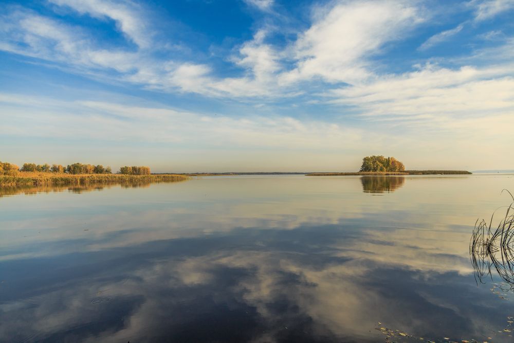 Photo – The state of river pollution was checked in the Lviv region