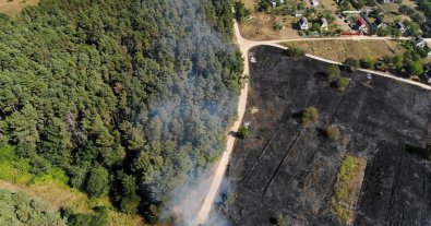 Фото – Горить трава, гори і хата? У чому парадокс підпалів трави в Україні та хто несе відповідальність