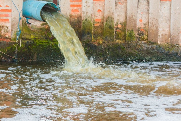 Экологическая катастрофа в Запорожье: в водоем попали канализационные отходы