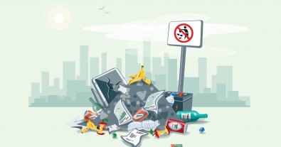 Фото – Штрафы за мусор в лесу и на обочине могут вырасти в 8-10 раз