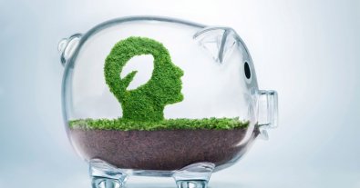 Photo – How to take care of nature and save money