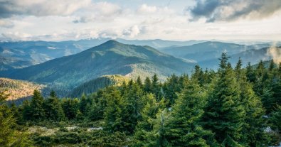 Фото – Міндовкілля оголосило про початок великого заліснення України