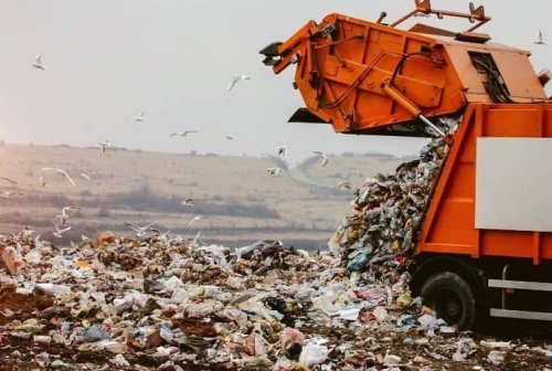 У Німеччині тестуватимуть незвичайний сміттєвоз. Фото  