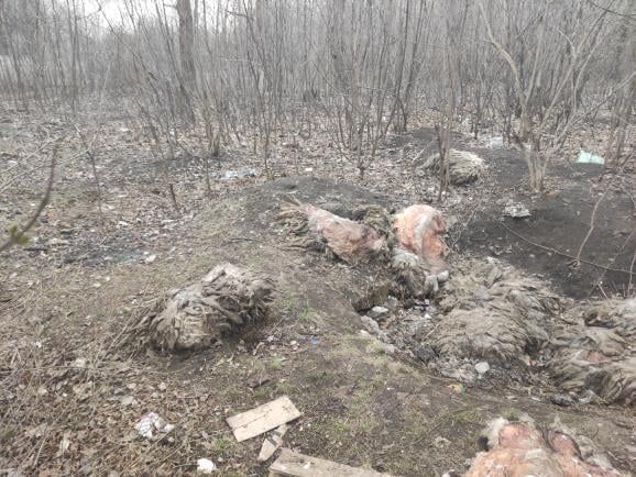 История со свалкой биологических отходов в Харькове получила продолжение