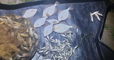 Фото – На Запоріжжі затримали браконьєрів із червонокнижною рибою