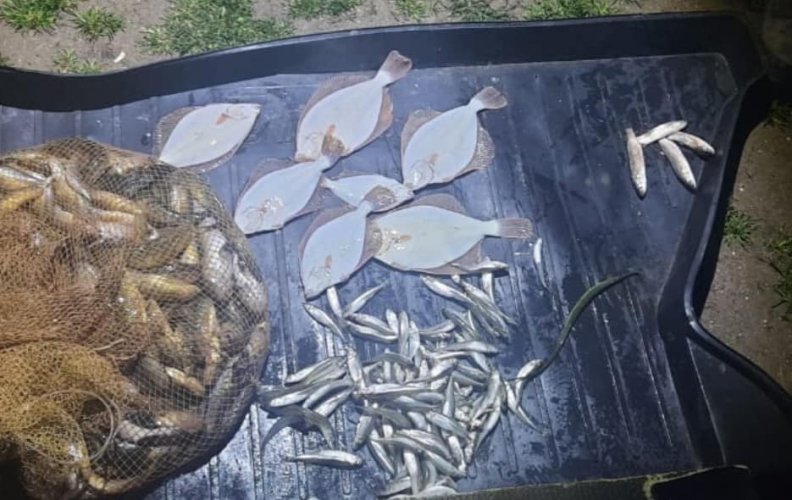 На Запоріжжі затримали браконьєрів із червонокнижною рибою