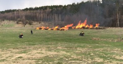 Фото – Пожежі знищили тисячі гектарів лісу: Держекоінспекція розкрила жахливу статистику