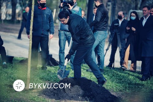 Нардепи під Верховною Радою висадили дерева. Фотофакт