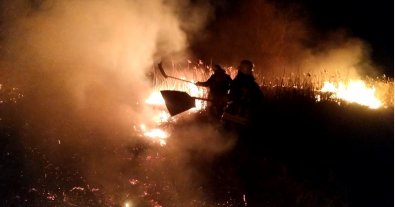 Фото – На Сумщині через паліїв трави згоріло 25 гектарів землі. Фото та відео