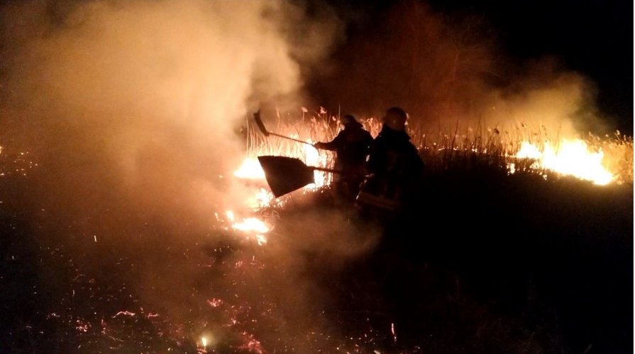 На Сумщині через паліїв трави згоріло 25 гектарів землі. Фото та відео