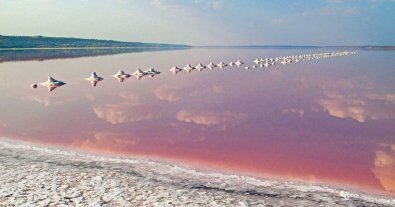 Фото – Экоактивисты забили тревогу из-за застройки Куяльницкого лимана: все детали скандала