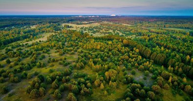 Фото – У 2024 році в Україні створили найменше заповідних територій за 10 років