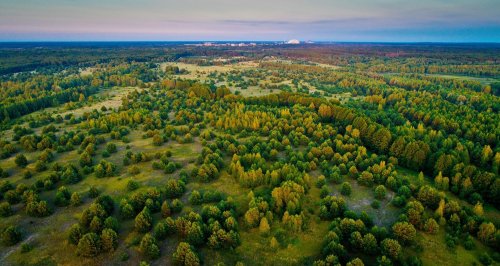 Найбільший заповідник України святкує п'ятиріччя: цікаві факти