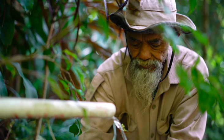На острове Ява 69-летний дедушка самостоятельно высадил 11 тысяч деревьев. Фото