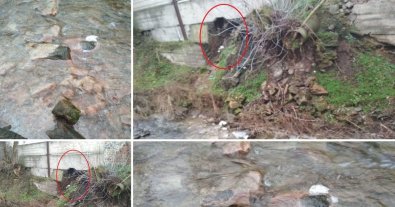 Фото – На Черкащині цукровий завод забруднює річку: ДЕІ та поліція бездіють
