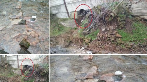 На Черкащині цукровий завод забруднює річку: ДЕІ та поліція бездіють