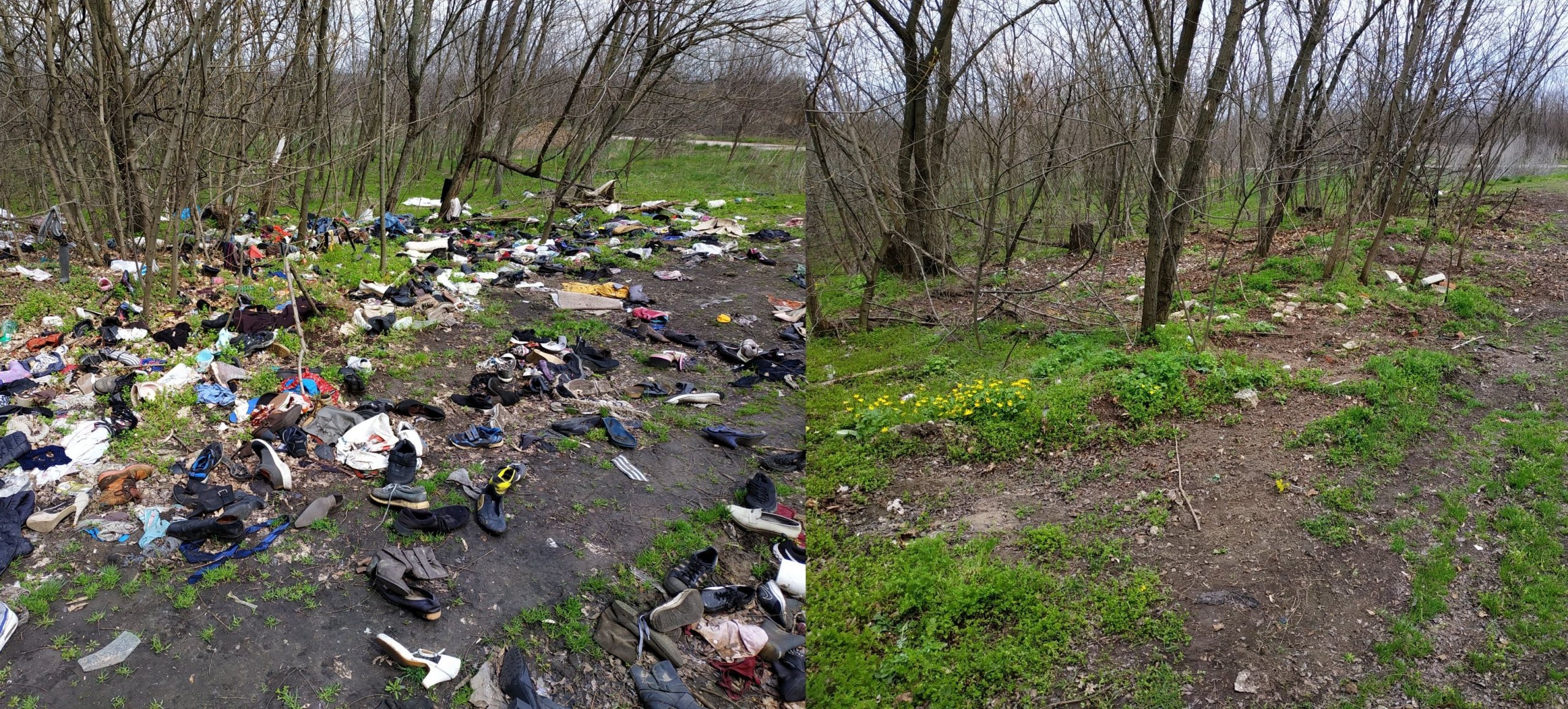 Фото – В Днепре люди самостоятельно ликвидировали "лесной секонд-хенд". Фото и видео