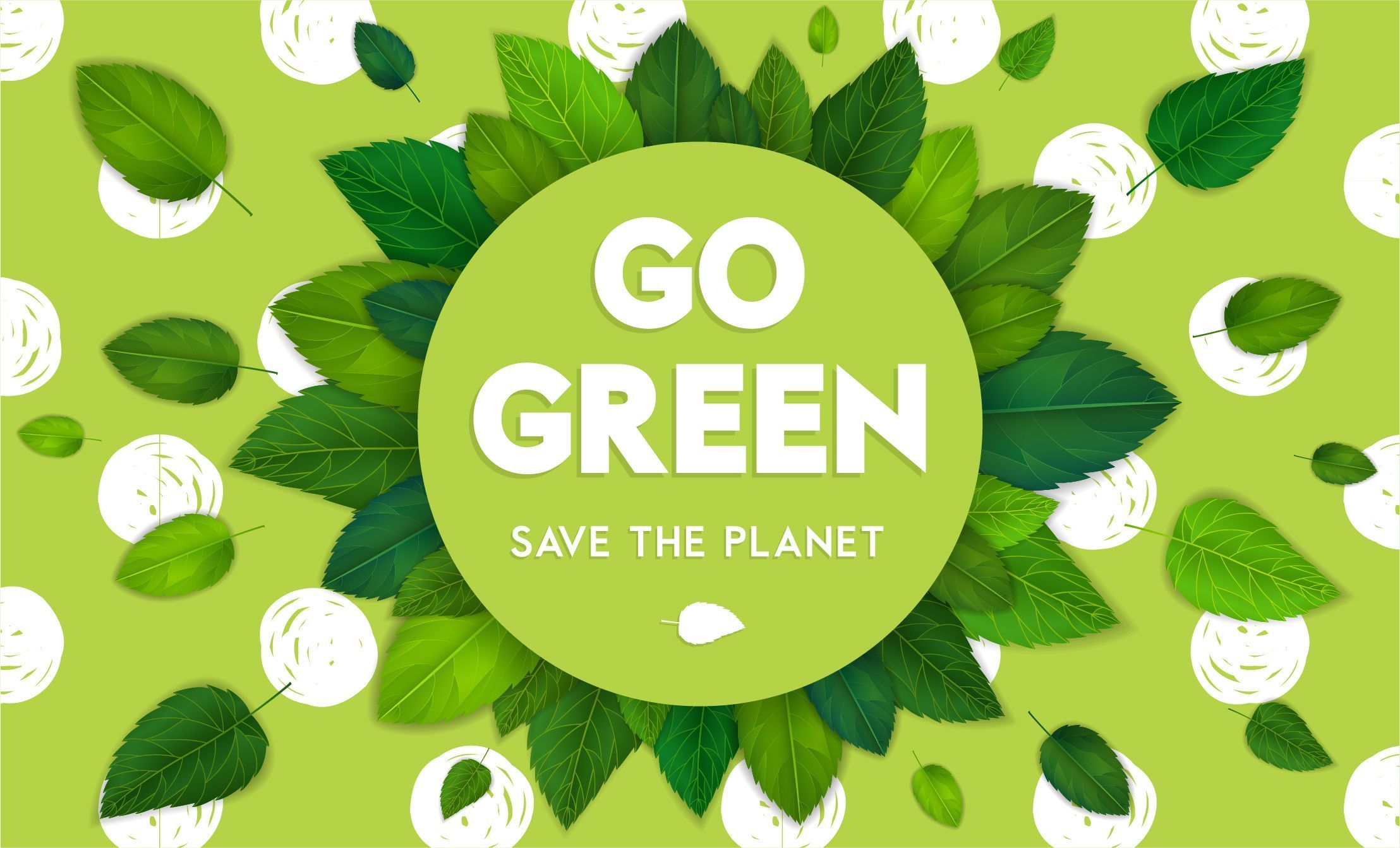 Photo – World Ecology Day is celebrated on November 1: why you should care for the environment every day