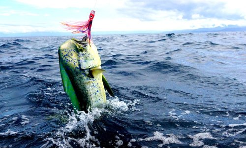 Законопроект против водного браконьерства ждет второе чтение