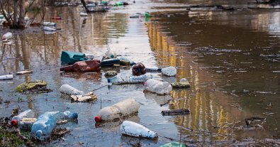 Photo – Occupation authorities brought Mariupol to environmental collapse, – city council