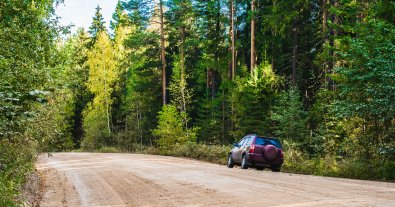 Фото – Заради будівництва автошляху під Києвом знищать гектари лісу - екологи