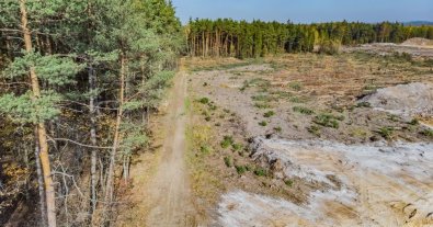 Photo – Prosecutors returned 629 hectares of forest land to the community