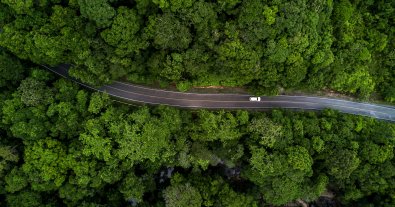 Фото – Google будет показывать экологические маршруты