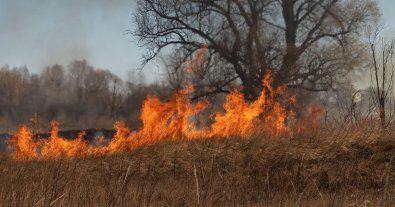 Фото – На Рівненщині жінка ледь не спалила село