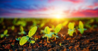 Photo – The Environmental Committee will prepare a draft law on state climate policy for the second reading
