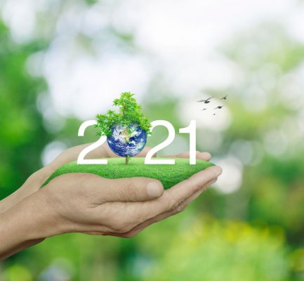 Экокомитет Верховной Рады подвел экологические итоги года