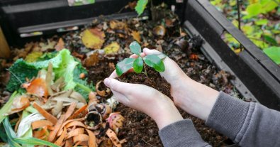 Photo – Garbage catastrophe in Ukraine: how to get rid of waste on the basis of the experience of the EU