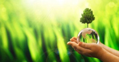 Фото – Експерти розповіли, як тонка дипломатія допоможе зробити Green Deal глобальним