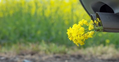 Фото – Міненерго пропонує звільнити від сплати екоподатку енергію з біопалива