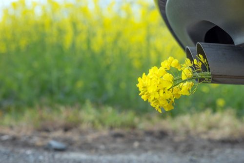 В Германии разрешили продажу биологического заменителя дизеля на заправках