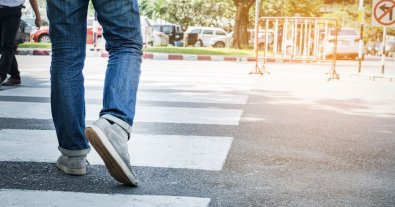 Фото – Де логіка? Київські комунальники висадили дерево на пішохідному переході. Фото