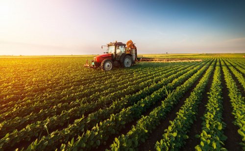 Правительство упростило аграриям доступ к пестицидам и топливу