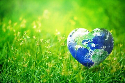 The world celebrates Earth Day: interesting facts about this day