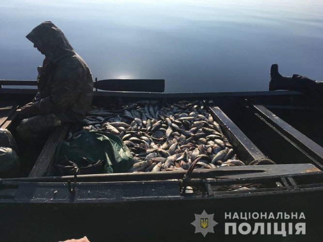 В Черкасской области задержали браконьеров-рыбаков. Фото и видео