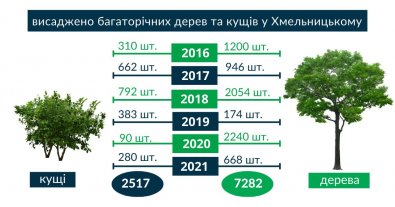 Фото – У Хмельницькому за 5 років висадили дерев і кущів утричі більше, ніж зрізали