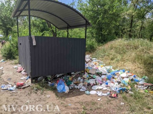 Жителі Мелітополя влаштували самовільний смітник у міському лісопарку. Фото та відео