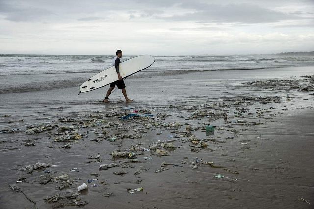 Стало известно, какие страны больше всего засоряют пластиком океан