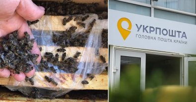 Фото – "Укрпочта" попала в громкий скандал из-за смерти 8 млн пчел: все подробности