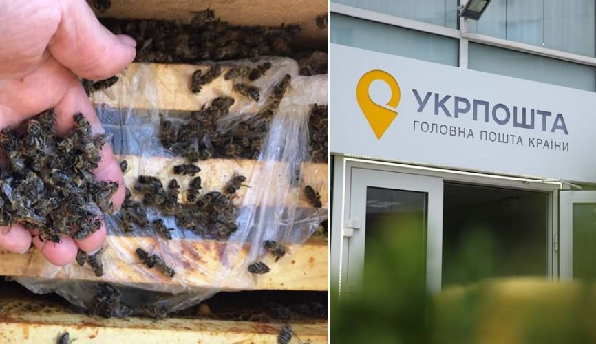 "Укрпошта" потрапила в гучний скандал через смерть 8 млн бджіл: усі подробиці