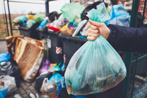 У Херсоні біля житлових будинків місяцями не прибирають стихійне звалище. Фото